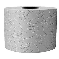 Toaletný papier 2 vrstvový recyklovaný (1 ks)