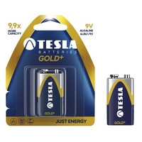 Batérie Tesla 9V (1 ks)