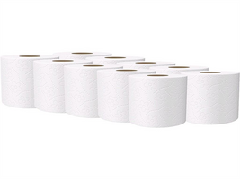 Toaletn&yacute; papier 4-vrstvov&yacute; (10ks/bal) 