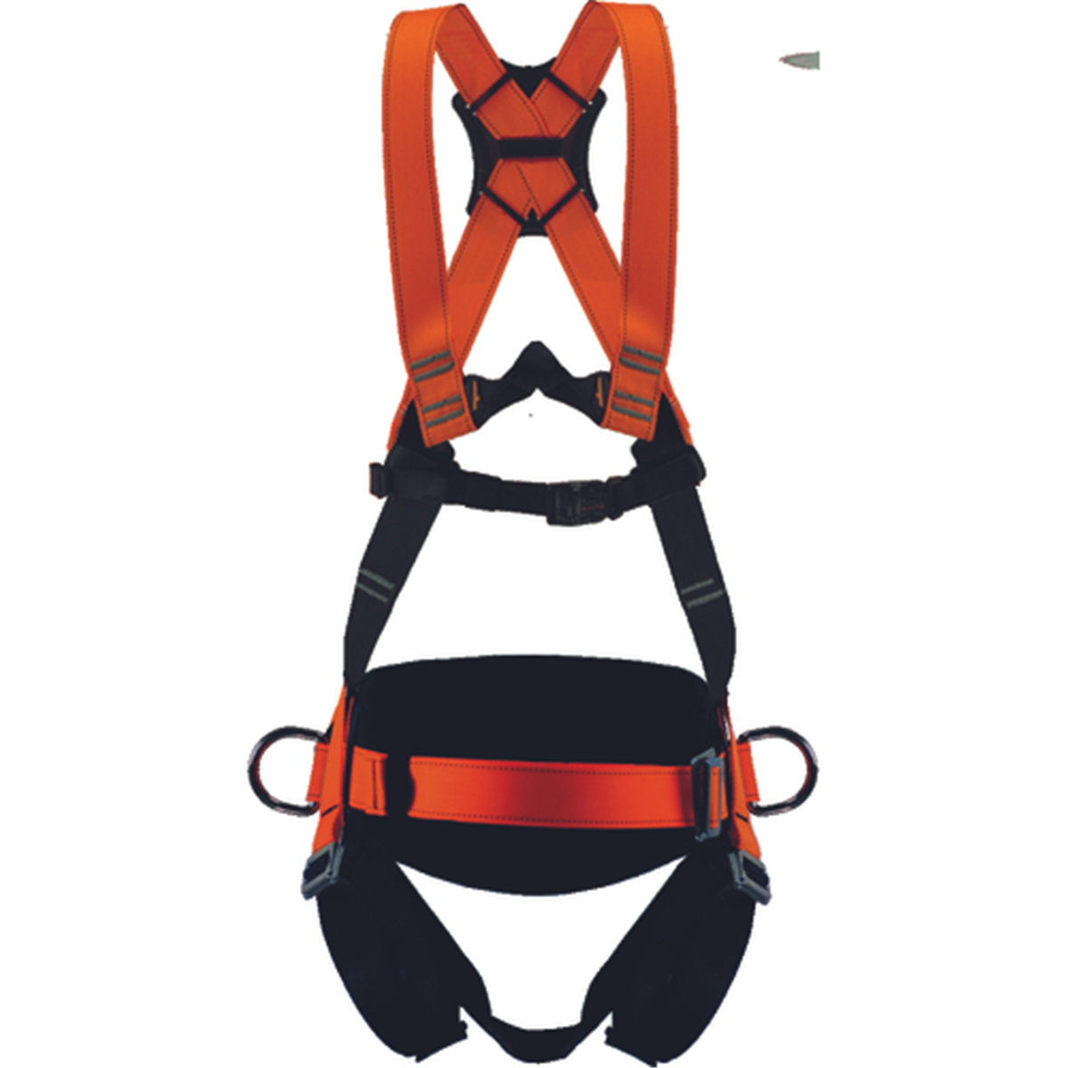 Postroj CERVA BERKUT 